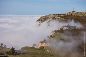 Ай-Петри Крым. Весной тоже все зеленое.
