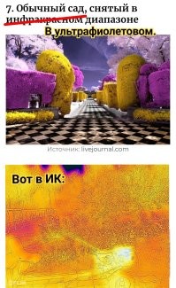 17 обычных и одновременно удивительных фотографий