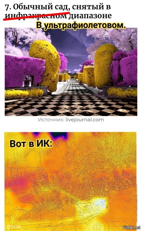 17 обычных и одновременно удивительных фотографий