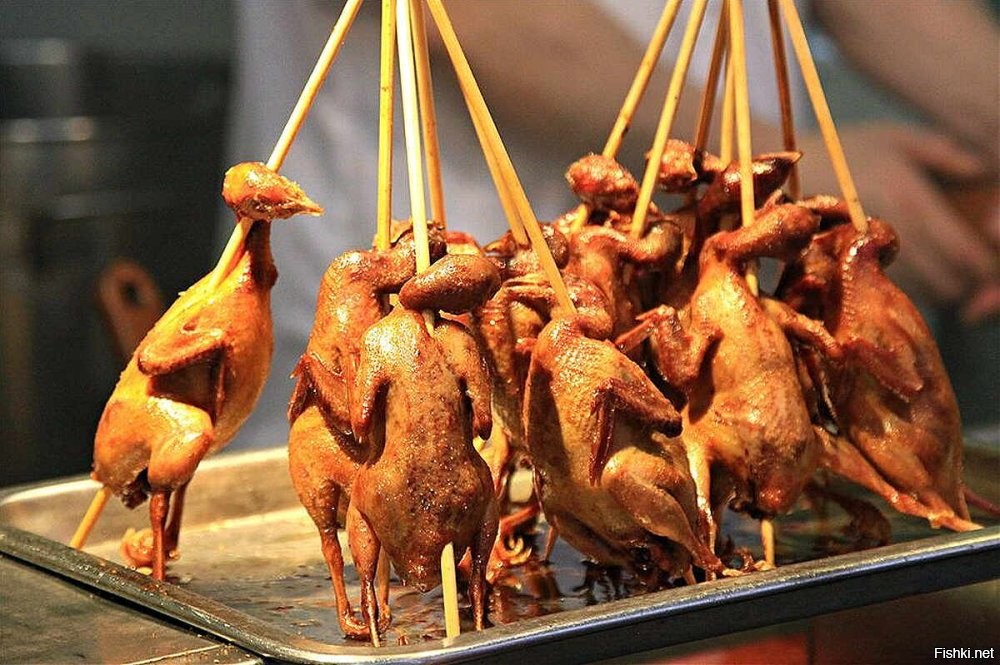 Купол, позволяющий попугайчику наслаждаться ягодами