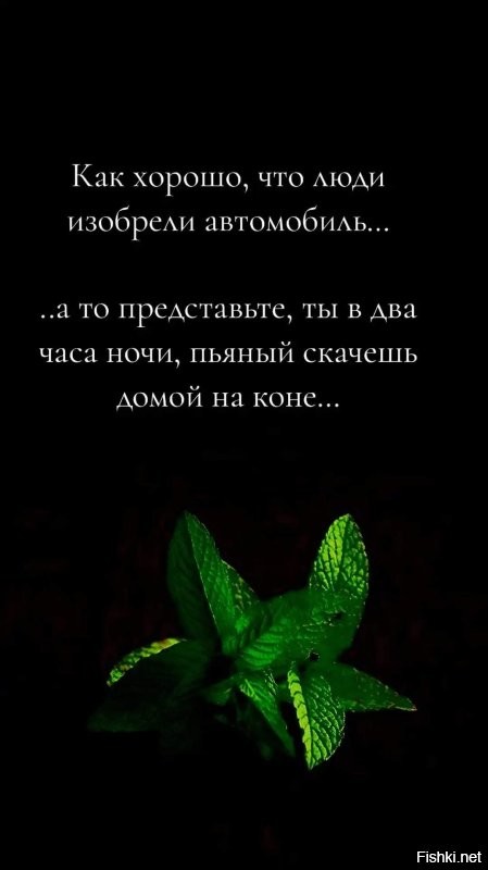 В Сочи пьяный мужчина въехал на лошади в кафе