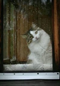 Обязательно!