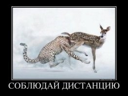 Встреча любителей нюхать чужую выхлопную трубу