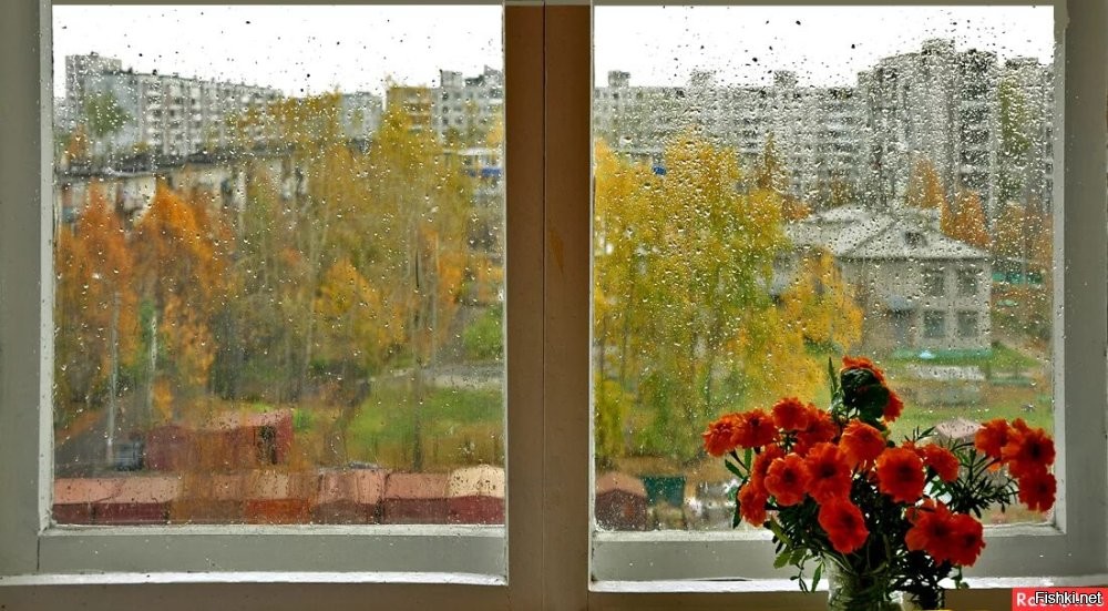 А я действительно осень люблю. Особенно, когда в хмурый ноябрьский дождь сядешь у окна. На плечах плед. На коленях кот. В руке бокал коньяка или кальвадоса.  И смотришь на спешащих куда-то по остаткам опавшей  листвы ссутулившихся прохожих,  укрывающихся зонтами от падающей  сверху мороси. На  покрытые грязью по самые окна, стремительно спешащие куда-то машины. На пронзительно каркающих  в облетевших  ветвях деревьев  ворон. И свинцовые  тучи, летящие куда-то над самыми крышами  домов...
А тебе тепло и снаружи, и изнутри. И свернувшийся на  коленях кот, уютно мурлычит, подёргивая ушами и лапами в такт своим снам.