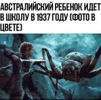 «Мы хотим, чтобы дети оторвались от своих устройств»: в Австралии хотят запретить зумерам пользоваться соцсетями