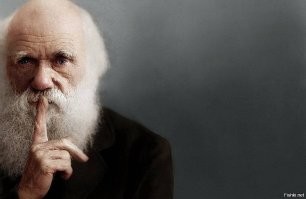 20-летний индиец погиб, пытаясь записать для соцсетей ролик с коброй