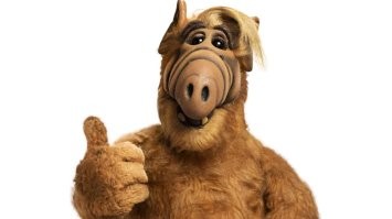 - Вы знаете что такое кошачий сок?
- Это то же самое что апельсиновый, но из кошек.
(с) Альф