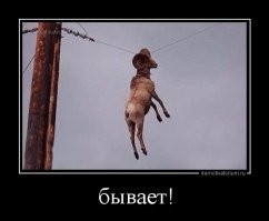 В Польше десантников сдуло ветром во время учений