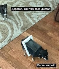 Намешалось