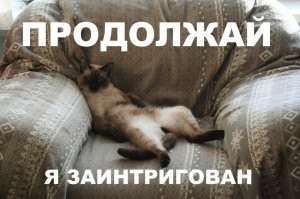 Скрины из соцсетей&nbsp;&nbsp;&nbsp;&nbsp;&nbsp;&nbsp;&nbsp;&nbsp;&nbsp;&nbsp;&nbsp;&nbsp;