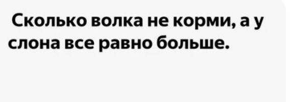 Мужчина спас и выходил волчонка