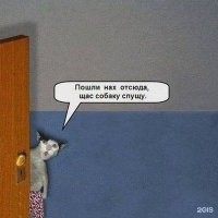 Скрины из соцсетей&nbsp;&nbsp;&nbsp;&nbsp;&nbsp;&nbsp;&nbsp;&nbsp;&nbsp;&nbsp;&nbsp;&nbsp;