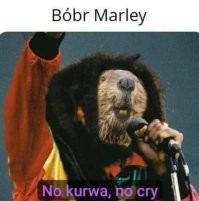 Не ищите здесь смысл. Здесь в основном маразм