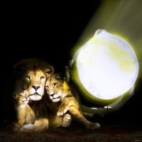 Примерный семьянин из Чечни