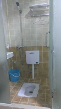 не любят китайцы унитазы, не принято почему-то