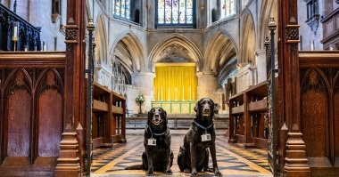 Красивое фото.