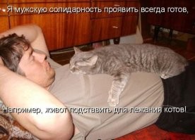 18 весёлых питомцев, которые легко могут сесть на голову кому угодно
