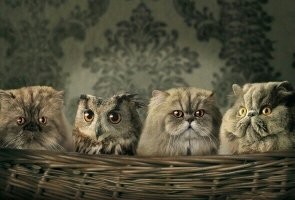 На общую тему&nbsp;