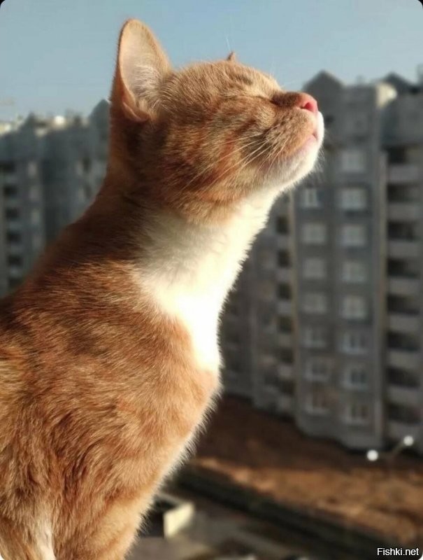 Доброго утра