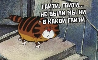 Кот Крошик весом 17 кг пытался совершить побег, но застрял в обувной полке