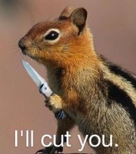 А вдруг ты не знал…