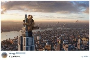 Кошачья когтеточка, способная удивить