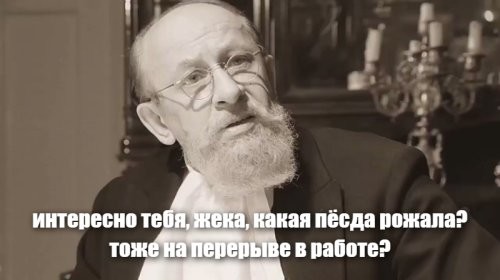 Министр здравоохранения Приморья призвал женщин рожать "в перерывах" на работе