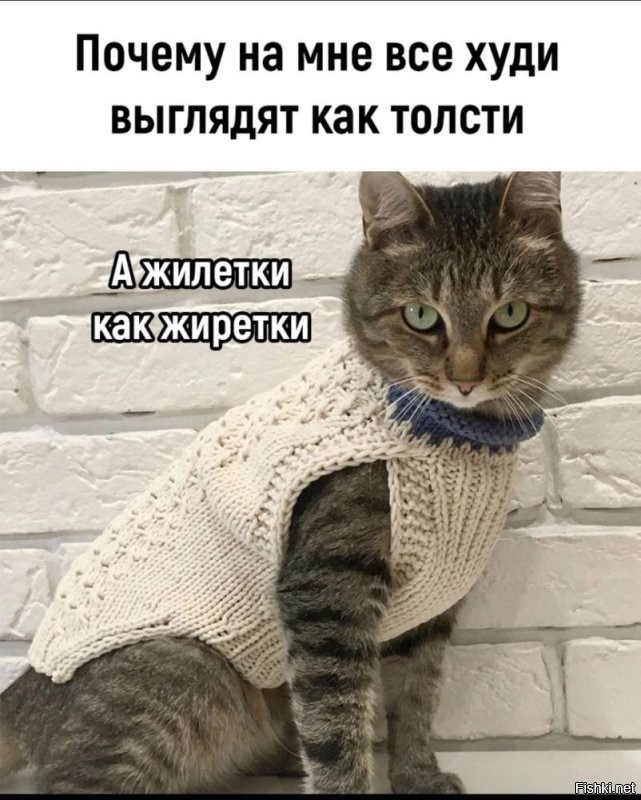 Солянка от 14.09.2024