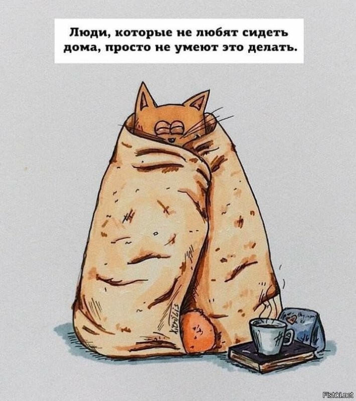 Солянка от 14.09.2024