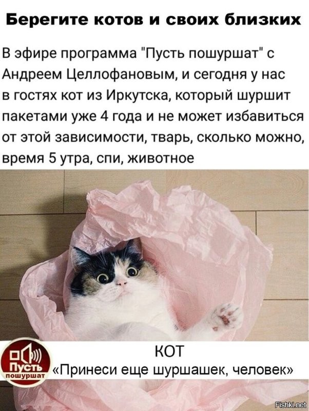 Солянка от 14.09.2024