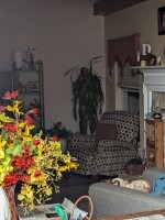 Вот после встречи суеверного впечатлительного человека с вот этим ночью:


и появляются разного рода сказки и байки про леших, водяных, домовых и прочих представителей сказочного фольклора.