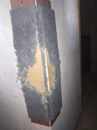 Кошачья когтеточка, способная удивить