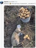 Мы её не закапывали.