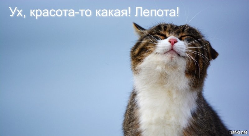 Как же красиво!