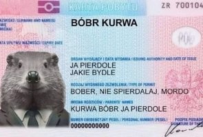«Бобэр-курва» преследует гражданку Польши в путешествиях