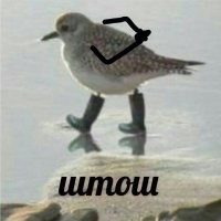 Восстание откладывается на неопределённый срок.