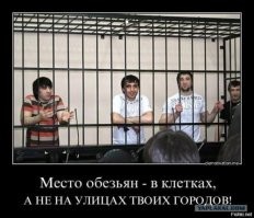 Великий бой: юнец в магазине одежды докопался до пластмассового манекена