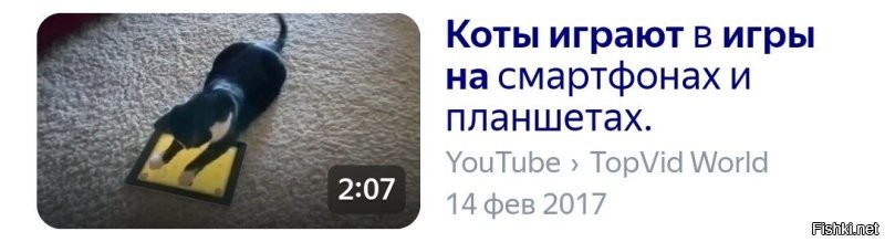 «Пропаганда возвращения к варварству»: в РПЦ заявили, что квадроберы двигают общество в дебри язычества