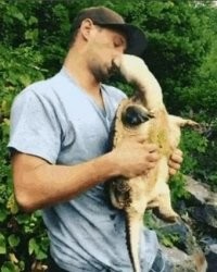 Повезло типу. Матамата легко палец перекусывает, а уж что сделает с мягкими тканями лица..