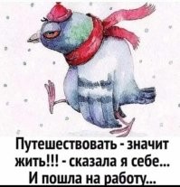 Не ищите здесь смысл. Здесь в основном маразм