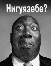 А чо так мало !? Каждому личинкусу по 25%  и себе родимой тоже 25%