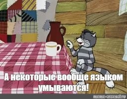 15 котов, для которых водные процедуры стали потрясением