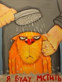 15 котов, для которых водные процедуры стали потрясением