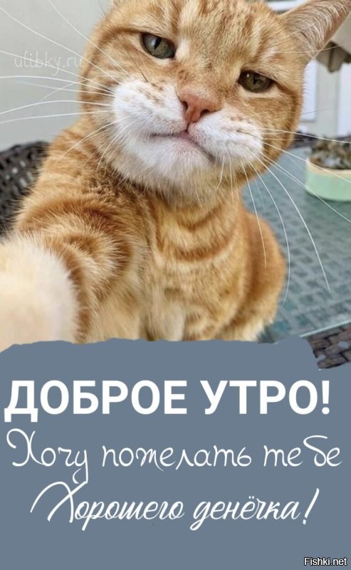 С добрым утром