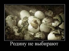 Не ищите здесь смысл. Здесь в основном маразм