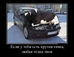Покатал тёлочек на машине и получил штраф