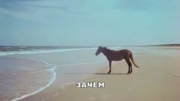 Скрины из соцсетей&nbsp;&nbsp;&nbsp;&nbsp;&nbsp;&nbsp;&nbsp;&nbsp;&nbsp;&nbsp;&nbsp;&nbsp;