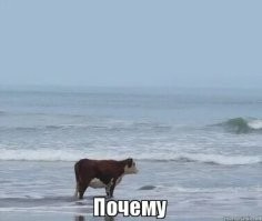 Скрины из соцсетей&nbsp;&nbsp;&nbsp;&nbsp;&nbsp;&nbsp;&nbsp;&nbsp;&nbsp;&nbsp;&nbsp;&nbsp;