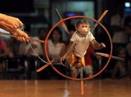 на последнем участке надо круг с ножами поставить, типа такого, успел увернуться- молодец