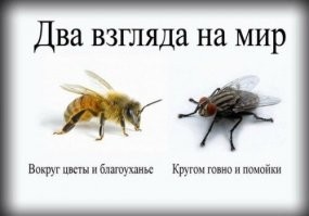 Кто ищет, тот всегда найдёт...